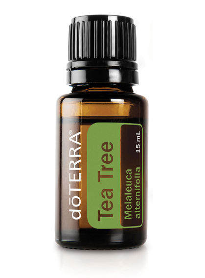 Melaleuca (Tea Tree/ Melaleuca alternifolia), 15ml